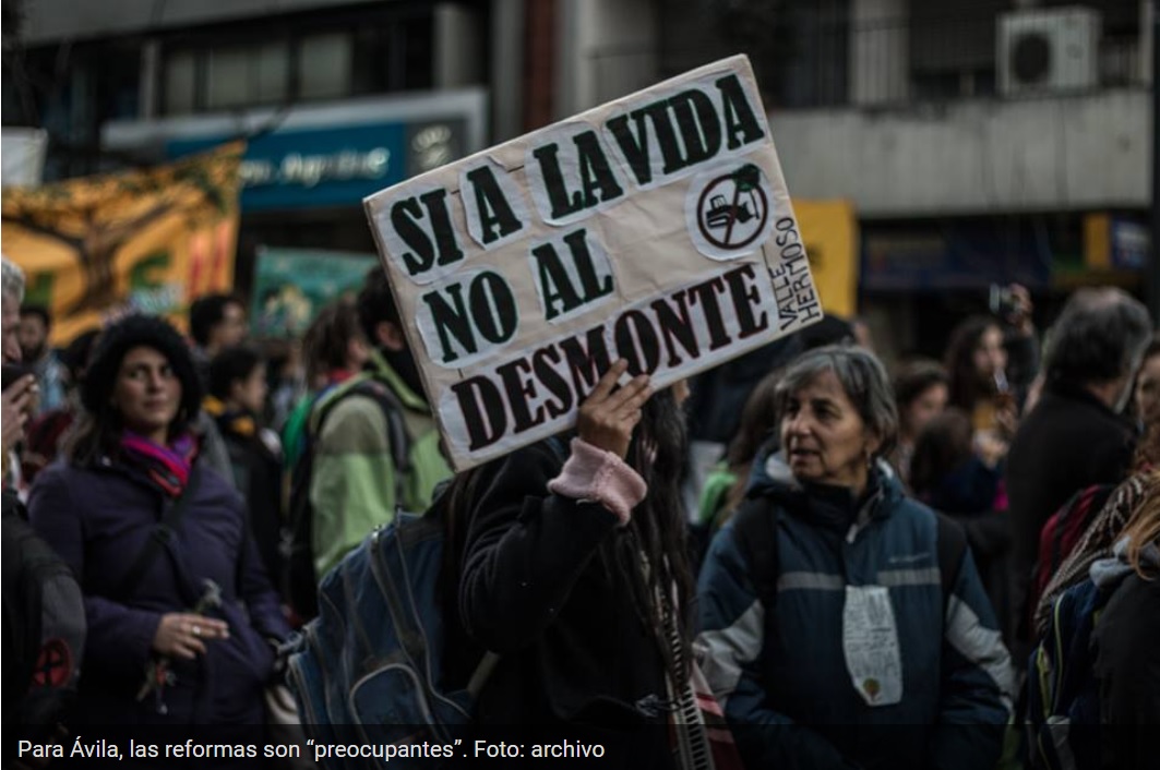 AMBIENTALISTA ABOGADO